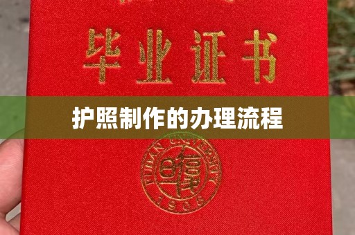 麦积护照制作的办理流程