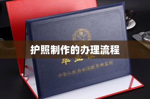 麦积护照制作的办理流程