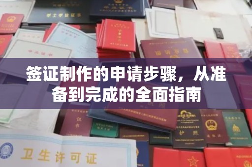 麦积签证制作的申请步骤，从准备到完成的全面指南