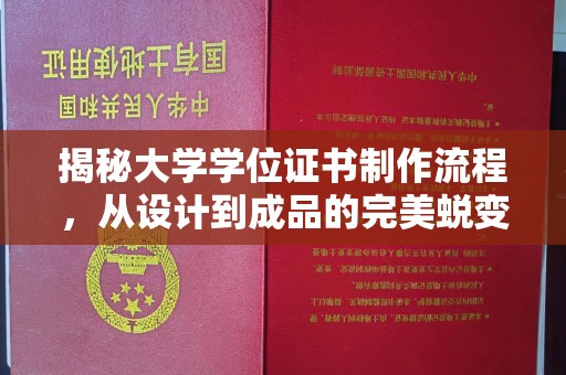 麦积揭秘大学学位证书制作流程，从设计到成品的完美蜕变
