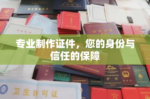 麦积专业制作证件，您的身份与信任的保障
