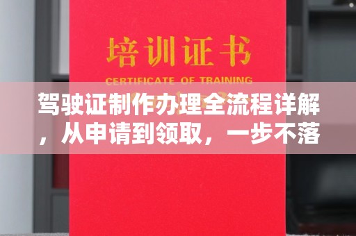 麦积驾驶证制作办理全流程详解，从申请到领取，一步不落
