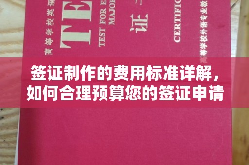 麦积签证制作的费用标准详解，如何合理预算您的签证申请成本