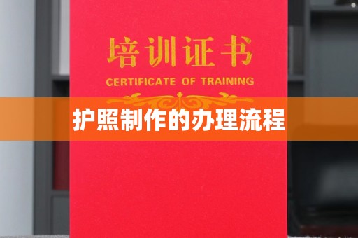 麦积护照制作的办理流程